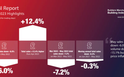 Merchant value sales fall again in May